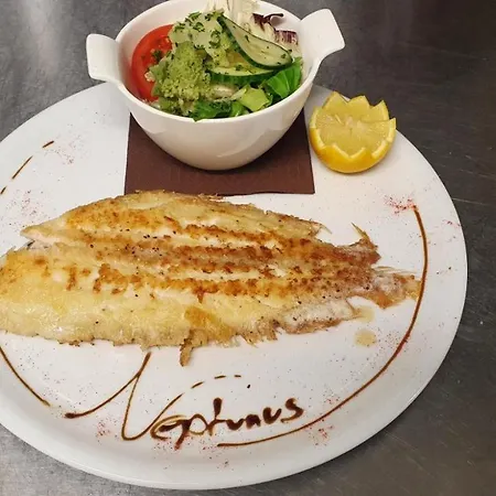 Neptunus فندق مبيت وإفطار