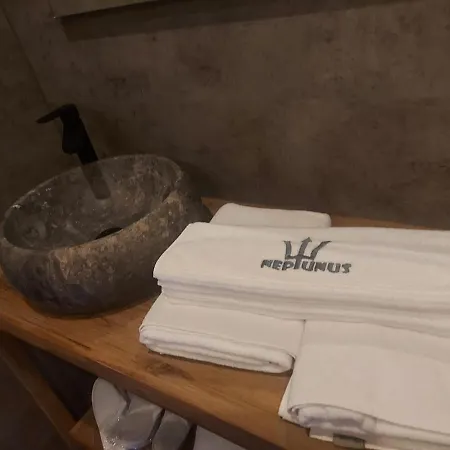 فندق مبيت وإفطار Neptunus نيوبورت