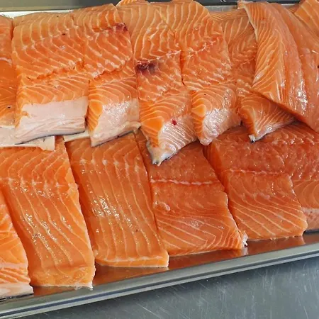 Neptunus 2* نيوبورت