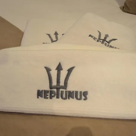 Neptunus 2*