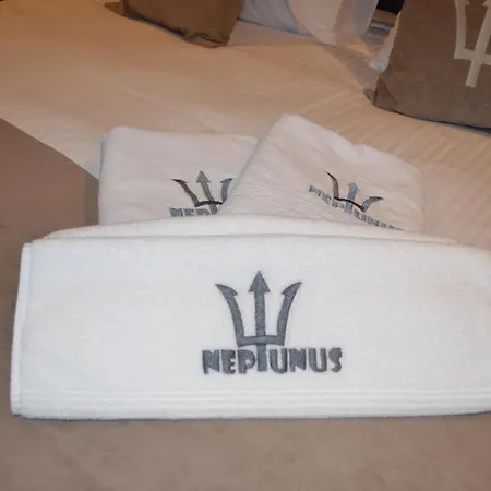 Neptunus 2*